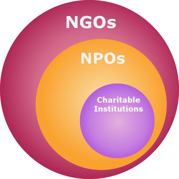 Relationship of NGOs, NPOs, and charitable institutions